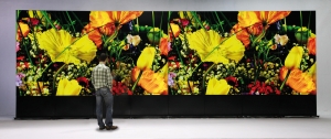 ZB00 VideowallSteglos LED Display